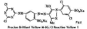fig 2 - typical monochlorotriazinyl dye